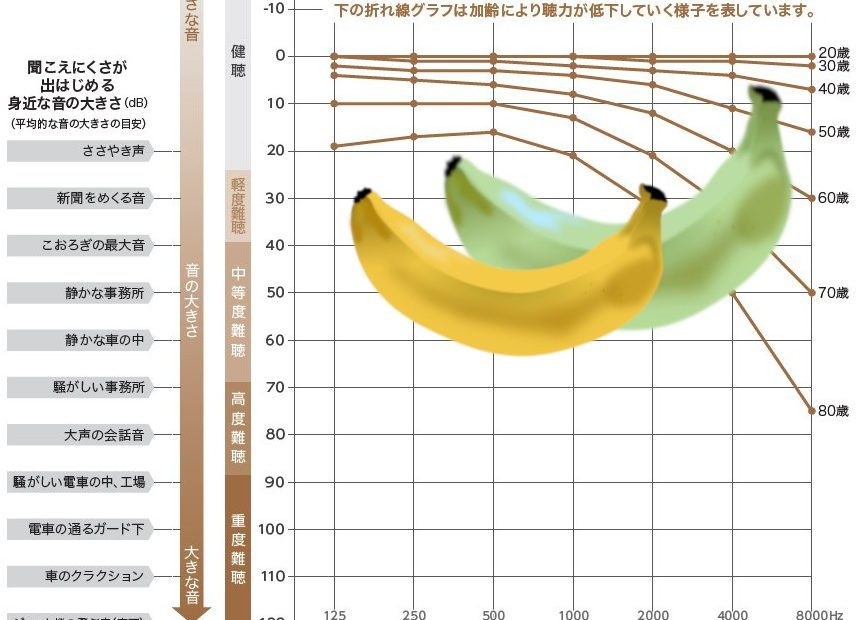 成城補聴器 スピーチバナナ 日本語 英語