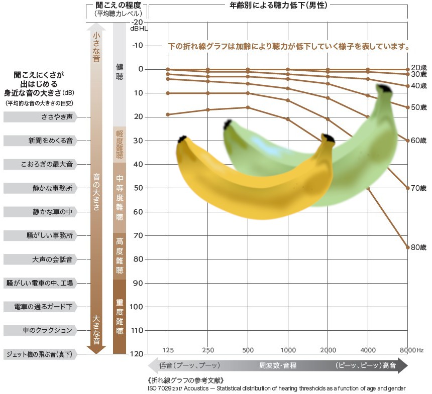 成城補聴器 スピーチバナナ 日本語 英語