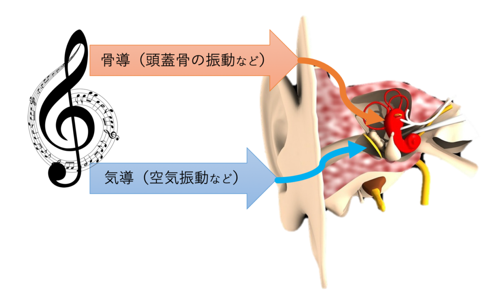 Air conduction and bone conduction