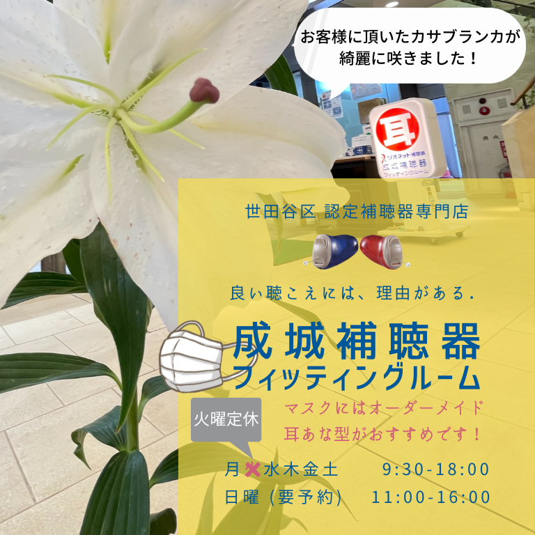 成城補聴器 TOPページ画像 東京都 世田谷区 成城 認定補聴器専門店 出張無料 電池配達